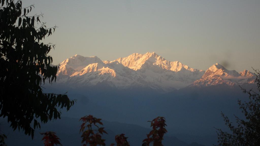 Cedar होटल 4*